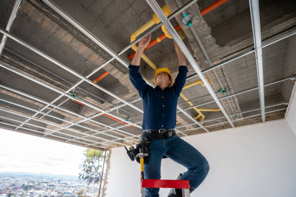 Best Plumbing Inspection Services  in Palm Beach Shores, FL